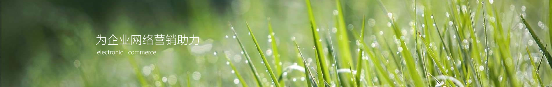 ڿũҵƼ޹˾